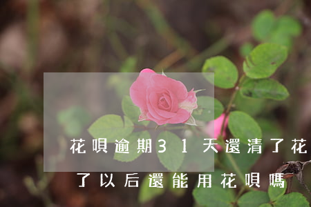 花唄逾期31天還清了(花唄逾期30多天還了以后還能用花唄嗎)
