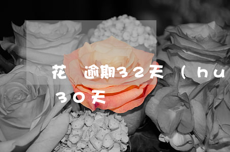 花唄逾期32天會(huì)怎樣(花唄超過30天沒還)