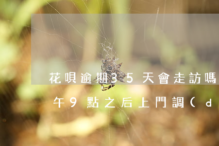 花唄逾期35天會走訪嗎(花唄逾期說明天上午9點之后上門調(diào)查,讓我保持電話暢通)
