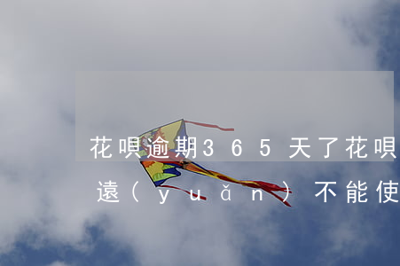 花唄逾期365天了(花唄逾期30天后 就永遠(yuǎn)不能使用了嗎?)