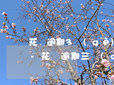 花唄逾期3個(gè)月可以先還一部分嗎-花唄逾期三個(gè)月 全部還了可以立刻用嗎