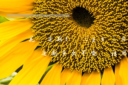 花唄逾期3個(gè)月可以辦信用卡嗎 花唄逾期多久不能辦信用卡