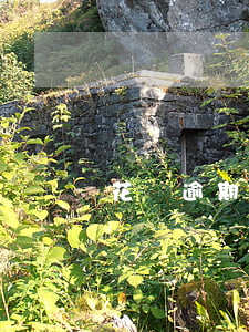 花唄逾期3個(gè)月后還完還能用嗎-