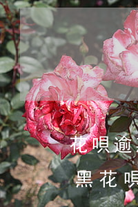 花唄逾期3個(gè)月會(huì)被拉黑(花唄逾期三個(gè)月會(huì)有什么后果?,有獎(jiǎng)問(wèn)答)