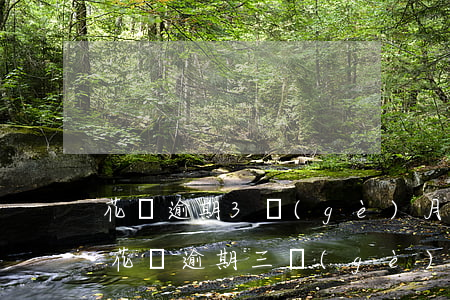 花唄逾期3個(gè)月會(huì)黑嗎(花唄逾期三個(gè)月會(huì)有什么后果?,有獎(jiǎng)問答)