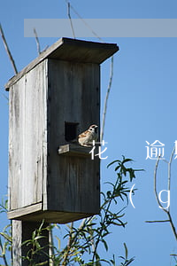 花唄逾期3個(gè)月有事不(花唄逾期三個(gè)月了,都兩個(gè)月了,都開(kāi)通不了)