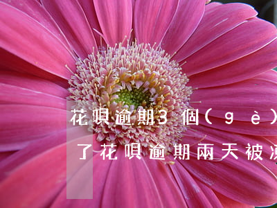 花唄逾期3個(gè)月被凍結(jié)了(花唄逾期兩天被凍結(jié),多久恢復(fù)額度)