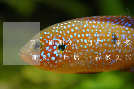 花唄逾期3個月后還清多久能使用-花唄逾期3個月后還清多久能使用啊