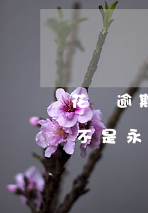 花唄逾期3個月有事嗎(花唄逾期3個多月是不是永遠(yuǎn)都不會恢復(fù)了)
