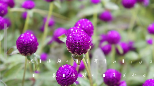 花唄逾期3個月有什么嚴(yán)重后果嗎-花唄逾期3個月有什么嚴(yán)重后果嗎怎么辦
