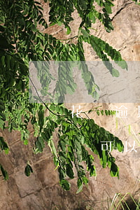 花唄逾期3個月能貸款嗎(花唄逾期三個月了,還可以最低還款嗎)