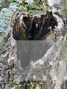 花唄逾期3天什么后果(花唄逾期3個多月是不是永遠(yuǎn)都不會恢復(fù)了)