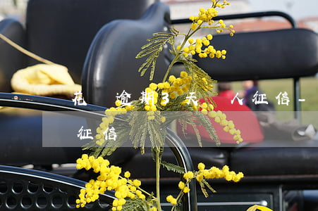 花唄逾期3天個人征信-花唄逾期3天個人征信