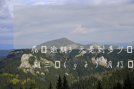 花唄逾期3天是到多少號(hào)(花唄逾期三個(gè)月打電話規(guī)定時(shí)間下午還進(jìn)去)