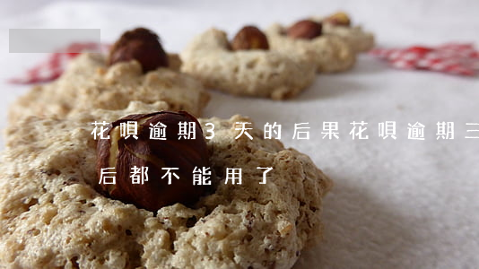 花唄逾期3天的后果(花唄逾期三天是不是以后都不能用了?)