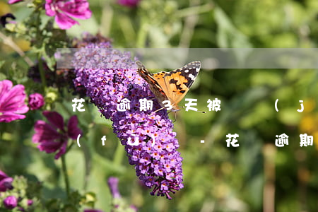 花唄逾期3天被凍結(jié)了可以恢復(fù)嗎-花唄逾期3天被凍結(jié)了可以恢復(fù)嗎怎么辦