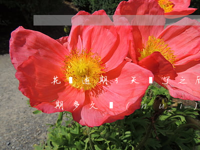 花唄逾期3天還了之后還了影響征信嗎-逾期多久會(huì)被列入失信人名單
