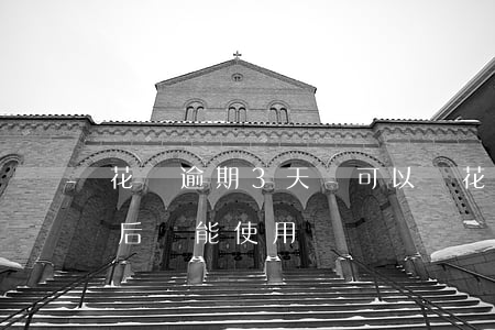花唄逾期3天還可以嗎(花唄逾期三天后還款后還能使用嗎?)