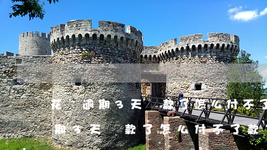 花唄逾期3天還款了怎么付不了款-花唄逾期3天還款了怎么付不了款了