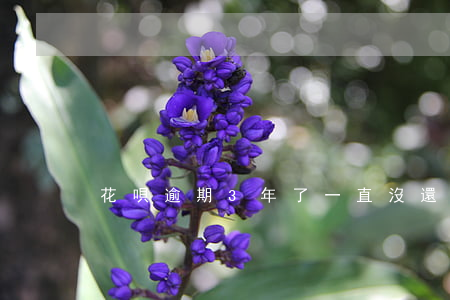 花唄逾期3年了一直沒還會坐牢嗎