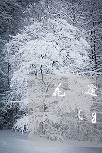 花唄逾期3年以下判刑嗎(支付寶花唄逾期3個(gè)月以上會(huì)被起訴嗎?)