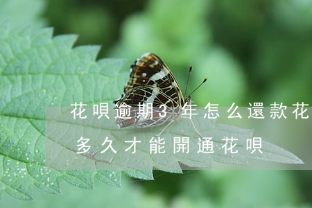 花唄逾期3年怎么還款(花唄逾期三年還清了多久才能開通花唄)