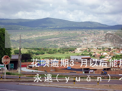 花唄逾期3月以后能用(花唄逾期30天后 就永遠(yuǎn)不能使用了嗎?)