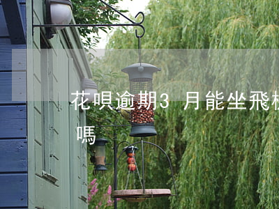 花唄逾期3月能坐飛機嗎(花唄不還能坐飛機嗎)