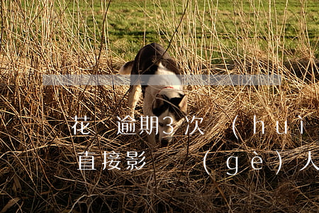 花唄逾期3次會(huì)不會(huì)直接影響個(gè)人征信-花唄逾期3次會(huì)不會(huì)直接影響個(gè)人征信記錄