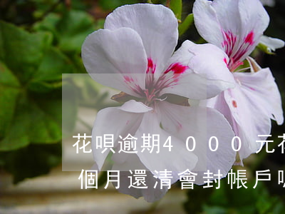 花唄逾期4000元(花唄逾期4000元4個月還清會封帳戶嗎)