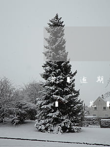花唄逾期400元會(huì)影響身份證嗎-花唄逾期400元會(huì)影響身份證嗎安全嗎