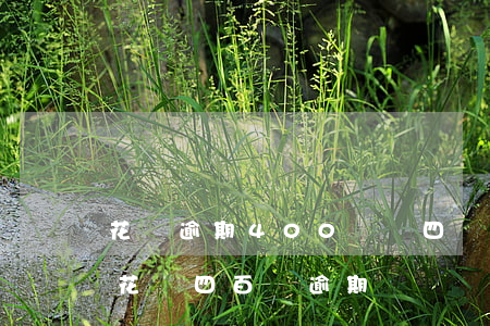 花唄逾期400塊錢四個月會被告上法庭嗎（花唄四百塊逾期）