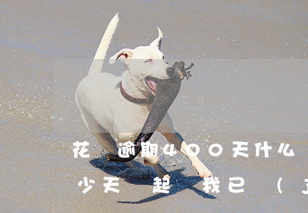 花唄逾期400天什么時候解凍(花唄逾期多少天會起訴,我已經(jīng)還了4000)