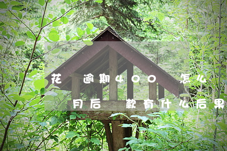 花唄逾期400會怎么樣(花唄400逾期3個月后還款有什么后果)