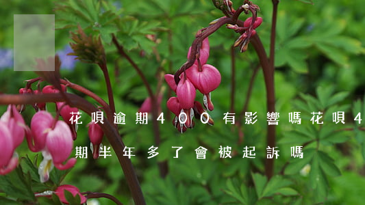 花唄逾期400有影響嗎(花唄4000多逾期半年多了會被起訴嗎?)
