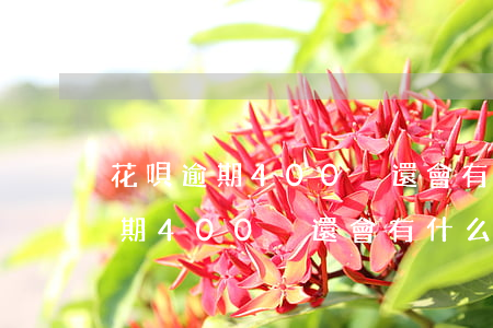 花唄逾期400沒還會有什么后果-花唄逾期400沒還會有什么后果嗎