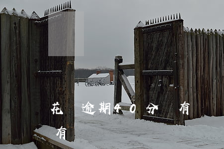 花唄逾期40分鐘有記錄(花唄逾期40分鐘有記錄)