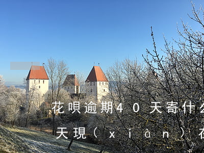 花唄逾期40天寄什么(花唄之前逾期400天現(xiàn)在還了怎么用不了)