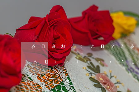 花唄逾期40天還完了(花唄之前逾期400天現(xiàn)在還了怎么用不了)