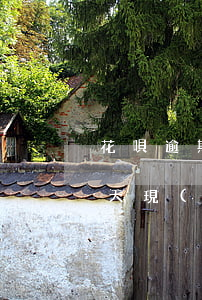 花唄逾期40天還能用(花唄之前逾期400天現(xiàn)在還了怎么用不了)