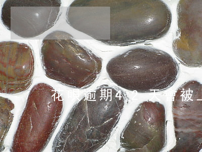 花唄逾期42天會被上門走訪嗎-