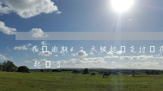 花唄逾期42天被起訴(支付寶花唄逾期三年起訴了)