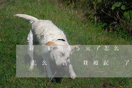 花唄逾期45元了怎么辦(花唄逾期75天會怎么樣告訴我被起訴了)