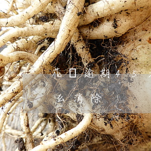 花唄逾期45天怎么消除(花唄逾期45天怎么消除)