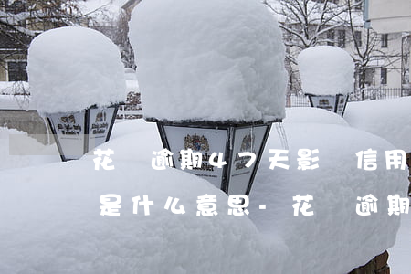 花唄逾期47天影響信用評(píng)估是什么意思?-花唄逾期用不了了,系統(tǒng)多久會(huì)評(píng)估重新可用