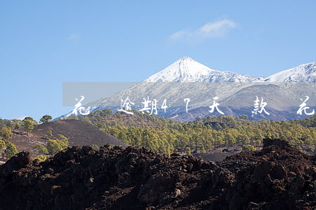 花唄逾期47天還款嗎（花唄逾期47天還款嗎）