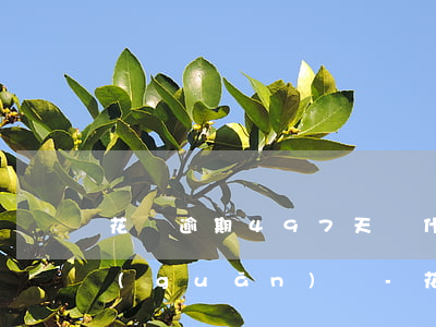 花唄逾期497天為什么沒(méi)有關(guān)閉-花唄逾期497天為什么沒(méi)有關(guān)閉呢