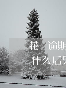 花唄逾期4個(gè)月會(huì)造成什么后果-花唄逾期4個(gè)月會(huì)造成什么后果