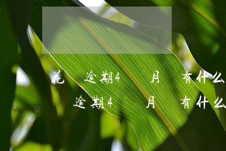 花唄逾期4個月會有什么后果?有獎問答-花唄逾期4個月會有什么后果?,有獎問答