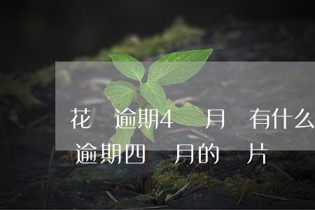 花唄逾期4個月會有什么后果?,有獎問答（花唄逾期四個月的圖片）
